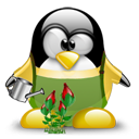 Penguin pingouin pinguino 279
